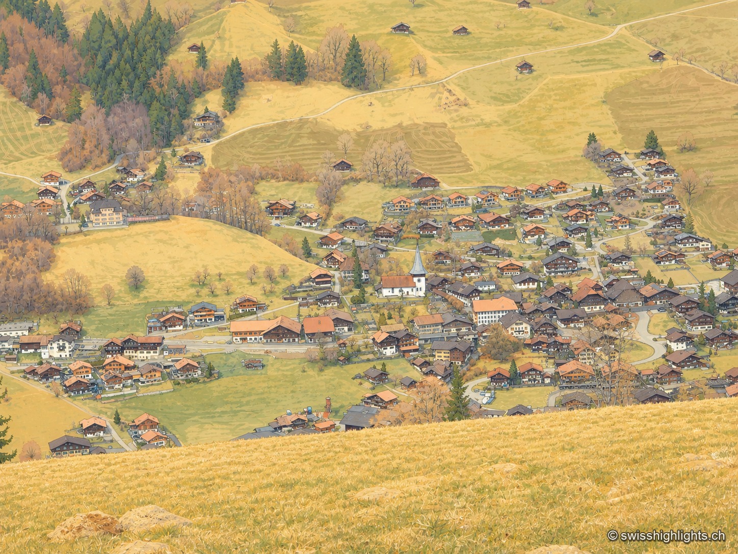 Vue d'ensemble du village d'Erlenbach im Simmental, ses maisons traditionnelles regroupées autour de l'église au pied des Préalpes bernoises.