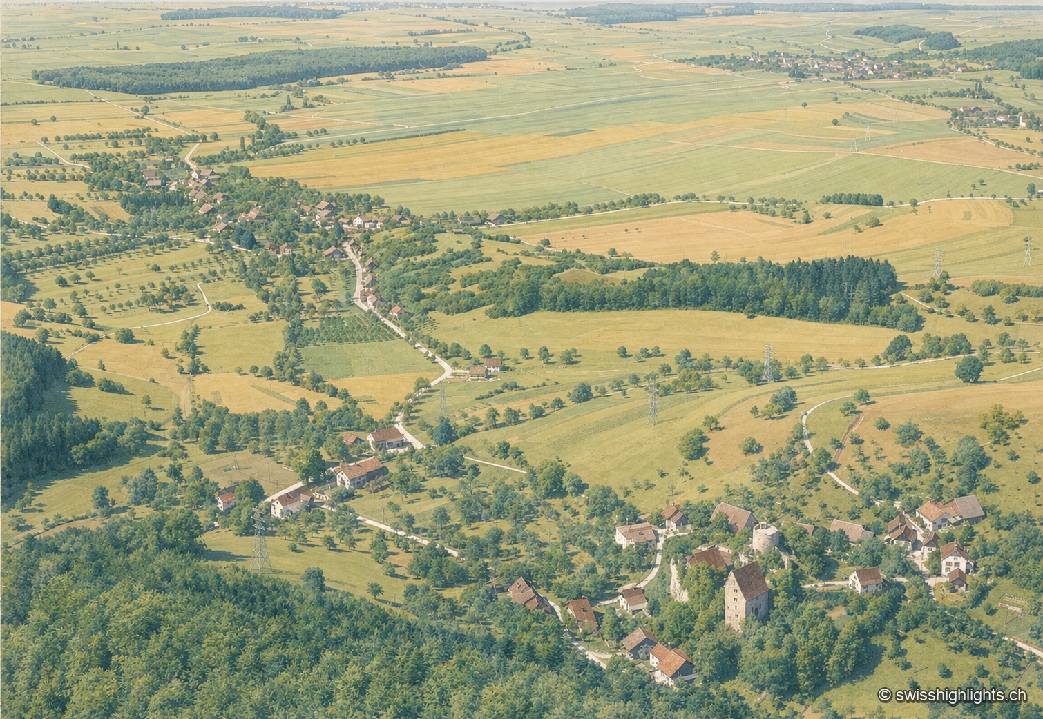 Vue aérienne oblique de Pleujouse, en noir et blanc : au premier plan à droite, le château et sa tour ronde occupent un éperon rocheux boisé, entourés de quelques toits sombres ; la route descend le vallon vers les fermes dispersées et, au-delà, la plaine de l'Ajoie s'ouvre en grands champs clairs bordés de haies et de bosquets.