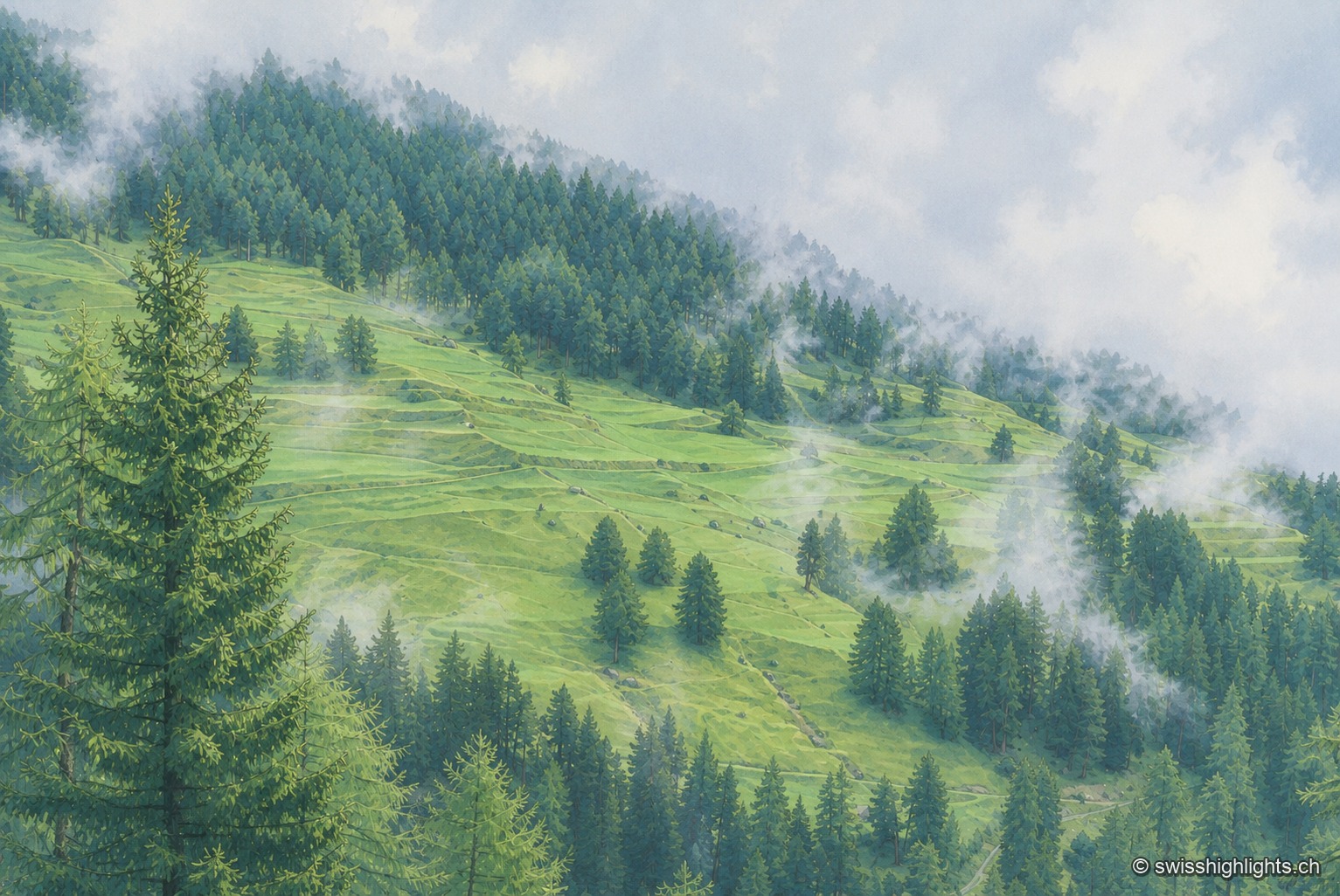Un versant boisé au-dessus de Sent, entre sapins et pâturages, se perd dans la brume matinale qui s'accroche aux pentes.