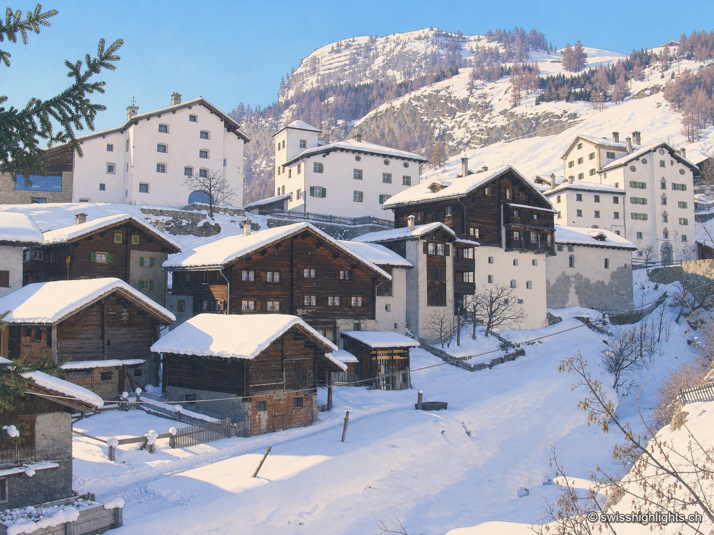 Splügen sous la neige : les toits blancs des maisons de pierre et des chalets de bois se pressent au pied d'un versant enneigé, sous un ciel bleu clair d'hiver.